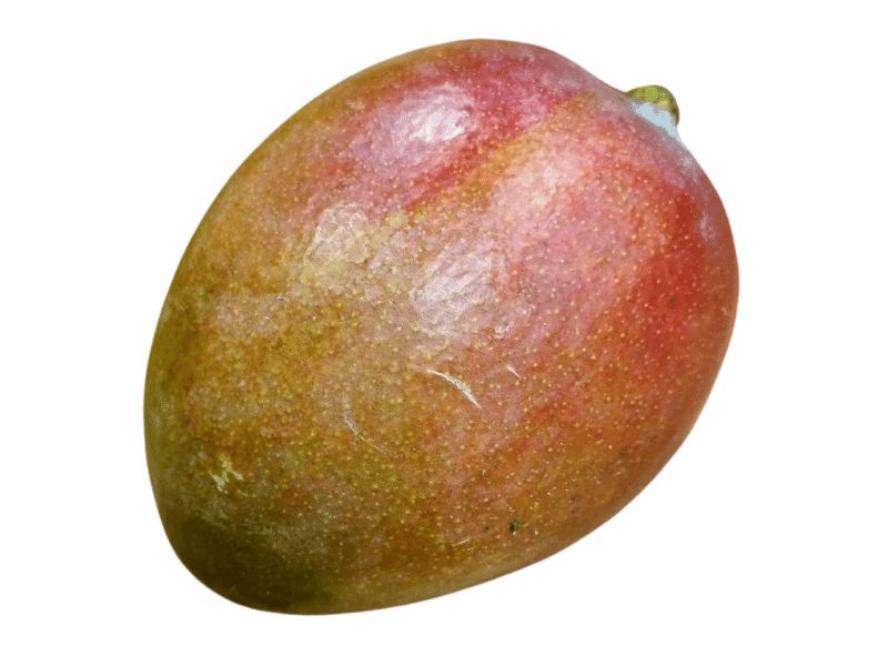 Mango (1)