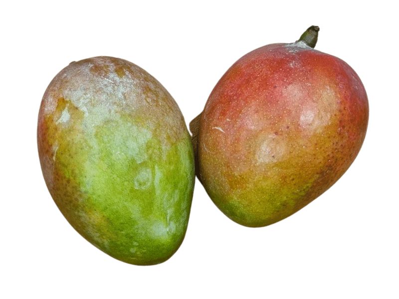 Mango (2)