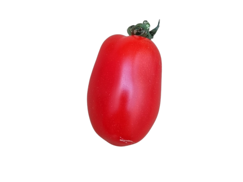 Pomidor daktylowy (1)