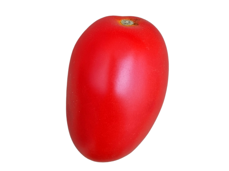Pomidor lima (1)