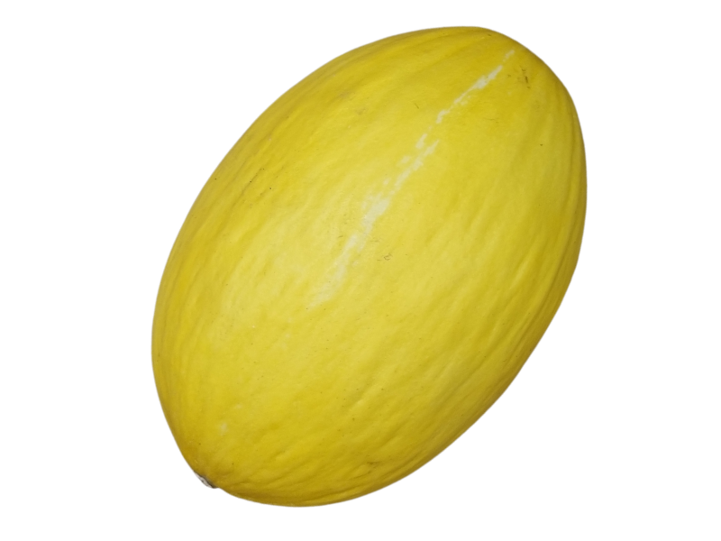 Melon żółty (1)