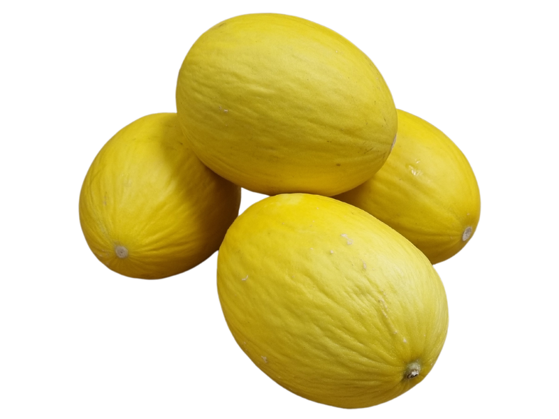 Melon żółty (2)