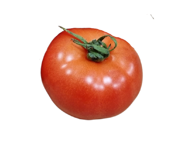 Pomidor polski (1)
