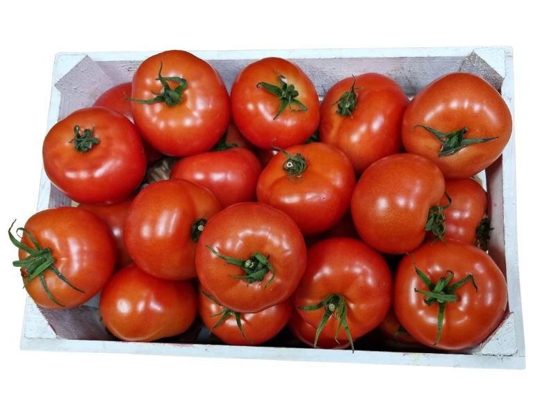 Pomidor polski (3)