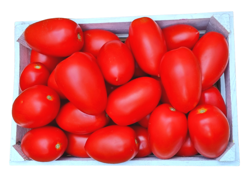 Pomidor Lima (4)