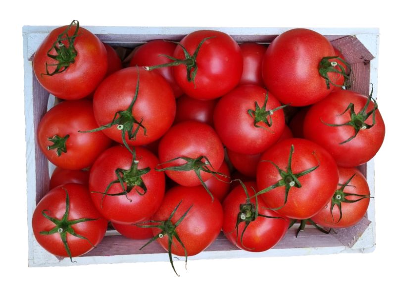Pomidor malinowy (4)