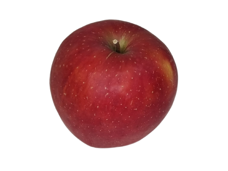 Jabłko Eliza (1)