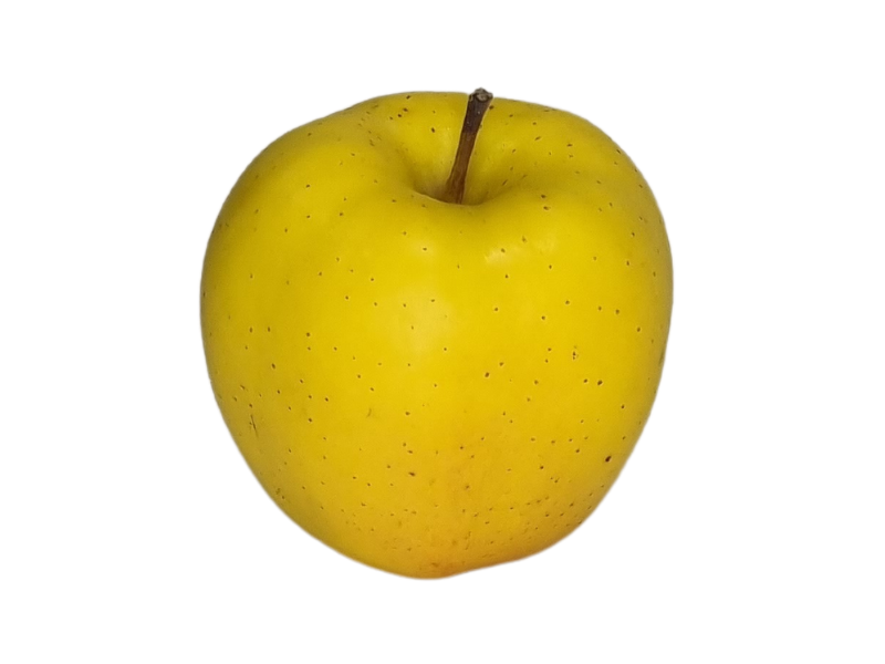 Jabłko Golden (1)